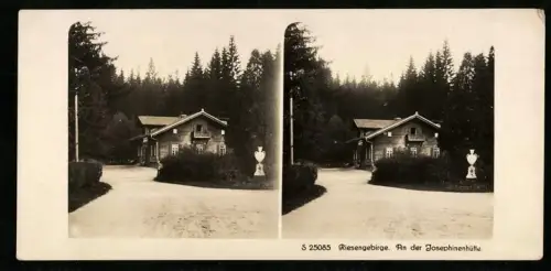 Stereo-Fotografie NPG, Ansicht Schreiberhau, Partie an der Josephinenhütte im Riesengebirge