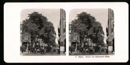 Stereo-Fotografie NPG, Ansicht Cairo, Strasse von Shepheards Hotel