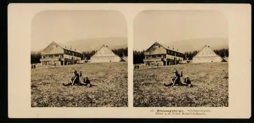 Stereo-Fotografie NPG, Ansicht Steinseiffen, Blick nach der Schlingelbaude und Prinz Heinrich Baude
