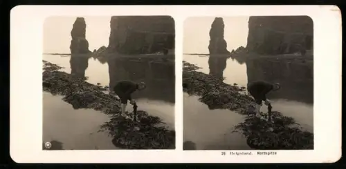 Stereo-Fotografie NPG, Ansicht Helgoland, Algenfischer sammel Algen an der Nordspitze