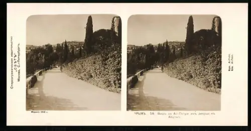 Stereo-Fotografie unbekannter Fotograf, Ansicht Krim, Auf dem Berg Ai-Petri