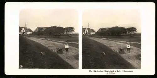Stereo-Fotografie NPG, Ansicht Keitum, junger Knabe mit Bollerwagen, Blick nach dem Friesenhaus