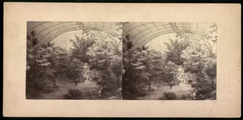 Stereo-Fotografie unbekannter Fotograf, Ansicht Frankfurt / Main, Blick in den Palmengarten