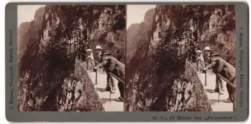 Stereo-Fotografie J. Meiner, Zürich, Ansicht Luzern, Bürgenstock am Vierwaldstätter See