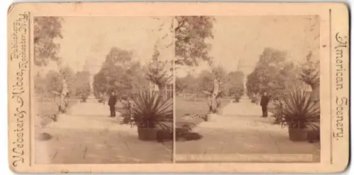 Stereo-Fotografie Webster & Albee, New York, Ansicht Washington D.C., walk in the Botanical Garden