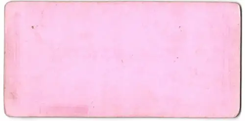 Stereo-Fotografie J. F. Stiehm, Ansicht Nonnenwerth, Blick nach dem Kloster Nonnenwerth