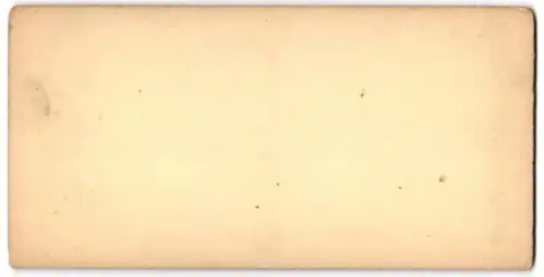 Stereo-Fotografie H. F. C. Voss, Magdeburg, Ansicht Dresden, Blick auf die Augustusbrücke