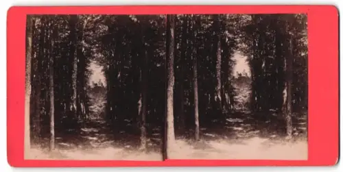 Stereo-Fotografie unbekannter Fotograf, Ansicht Eisenach, Blick durch den Wald nach der Wartburg