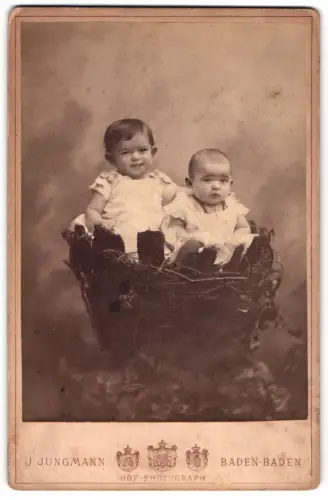 Fotografie J. Jungmann, Baden-Baden, Werdstrasse 1, Kinder Helene und Emil Peter in einem grossen Vogelnest