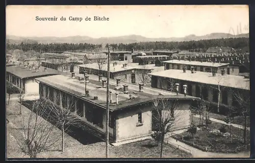 AK Bitche, Camp de Bitche, Panorama