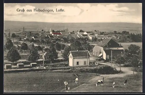 AK Habudingen /Lothr., Vue du village avec pâturages et troupeau de vaches