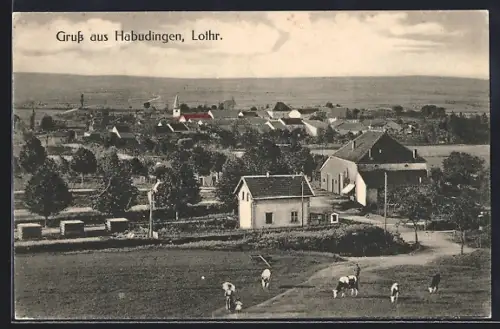 AK Habudingen /Lothr., Vue du village avec pâturages et champs en arrière-plan