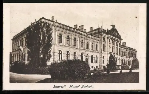 AK Bucuresti, Muzeul Zoologic