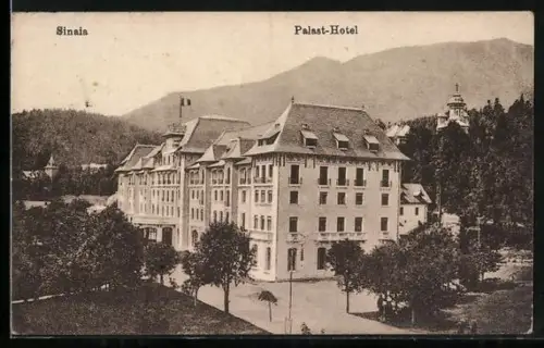AK Sinaia, Palast-Hotel mit Anlagen aus der Vogelschau