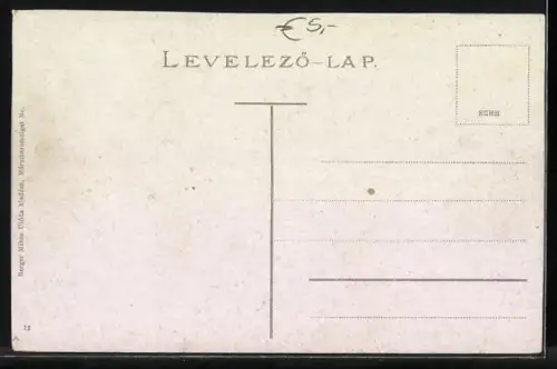 AK Máramarossziget, Groedl-villa