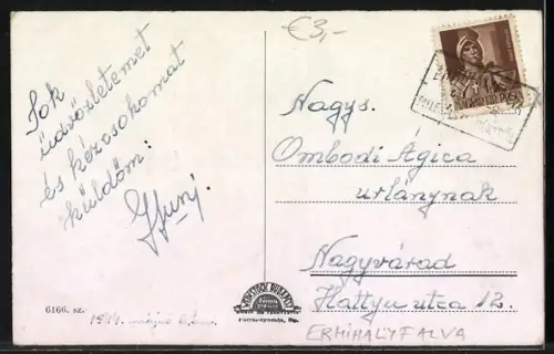 AK Érmihályfalva, Kastély, Utcarészlet, Ref. templom