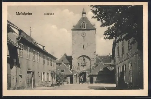 AK Molsheim, Blick auf den Eingang
