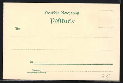 Lithographie Strassburg i. Els., Die Strassburger Störche, Altes Haus am Domplatz, Astronomische Uhr im Münster