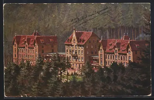 AK Saales, Vue du Sanatorium entouré de forêt