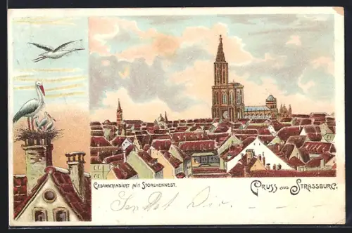 Lithographie Strasbourg, Vue sur la ville avec cathédrale et nid de cigognes
