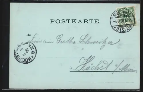 AK Strassburg, Partie am Pflanzbad