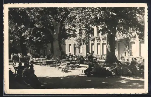 AK Mont St. Odile, La cour des tilleuls