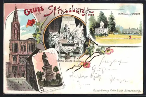 Lithographie Strassburg i. Els., Münsterturm, Denkmal Moritz von Sachse, Parthie aus der Orangerie