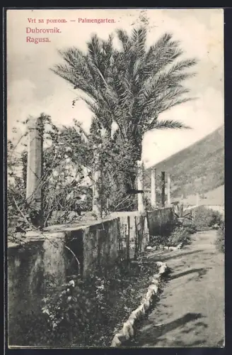 AK Dubrovnik, Im Palmengarten