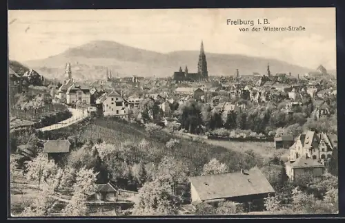 AK Freiburg i. B., Blick von der Winterer-Strasse