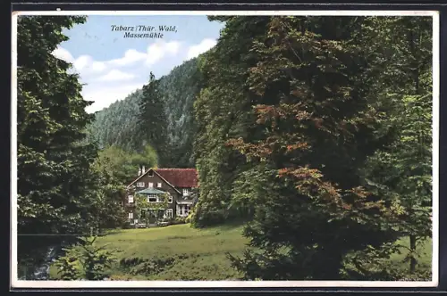 AK Tabarz /Thür. Wald, Massemühle am Waldrand