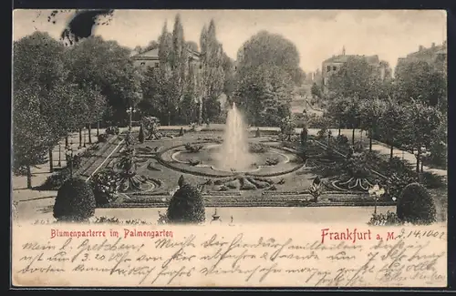 AK Frankfurt-Westend, Blumenparterre im Palmengarten