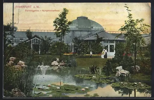 AK Frankfurt-Westend, Palmengarten, Nymphaceenhaus mit Teich