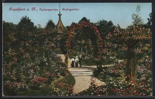 AK Frankfurt-Westend, Rosengarten im Palmengarten