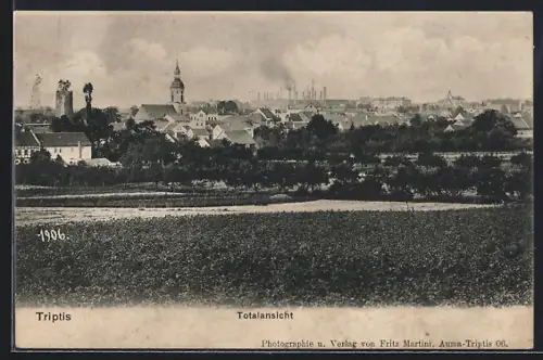 AK Triptis, Panorama des Ortes