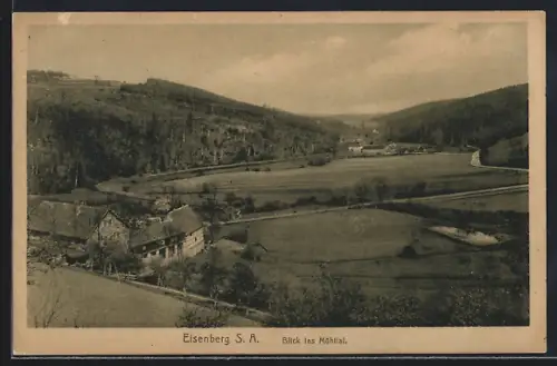 AK Eisenberg /S. A., Blick ins Mühltal