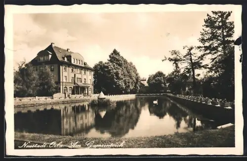 AK Neustadt-Orla, Am Gamsenteich
