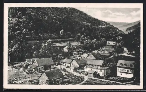 AK Georgshütte /Hasenthal, Ortsansicht umgeben von Wald