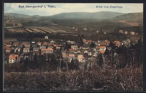 AK Bad Georgenthal i. Thür., Blick vom Ziegelberg