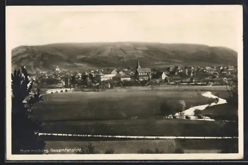 AK Hammelburg, Panorama des Ortes