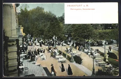 AK Frankfurt-Westend, Palmengarten, Konzertterrasse
