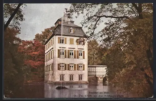 AK Frankfurt-Nordend, Die Oede, Partie aus dem Holzhausenpark