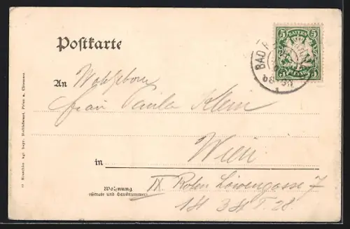 AK Bad Reichenhall, Stadtansicht mit Bergen