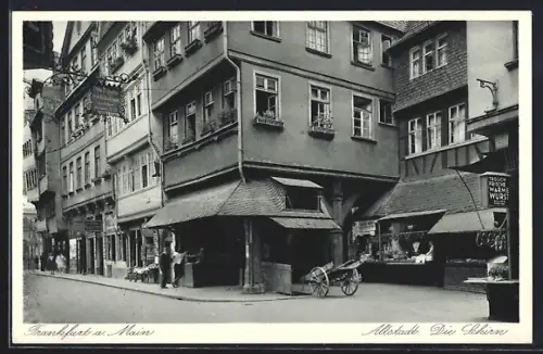 AK Alt-Frankfurt, Altstadt, Die Schirn