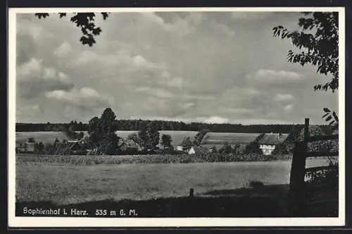 AK Sophienhof / Ilfeld, Gasthaus Brauner Hirsch, Inh. Ernst Hirschelmann