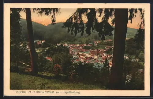 AK Triberg im Schwarzwald, Blick vom Kapellenberg
