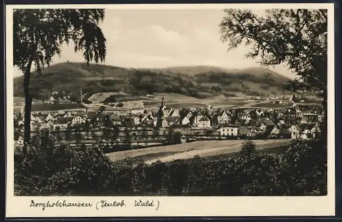 AK Borgholzhausen /Teutob. Wald, Ortsansicht mit Kirche und umliegenden Hügeln