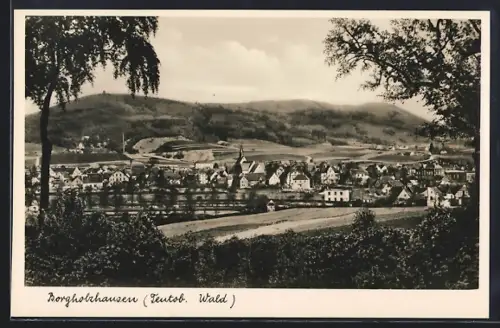 AK Borgholzhausen /Teutob. Wald, Panorama, Ortsansicht, Hügel im Hintergrund