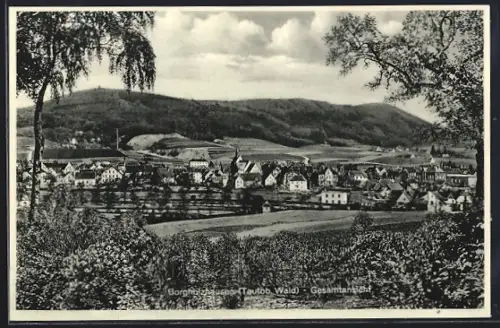 AK Borgholzhausen /Teutob. Wald, Gesamtansicht