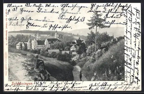 AK Schleusingen, Schloss, Stadtansicht, Wegpartie