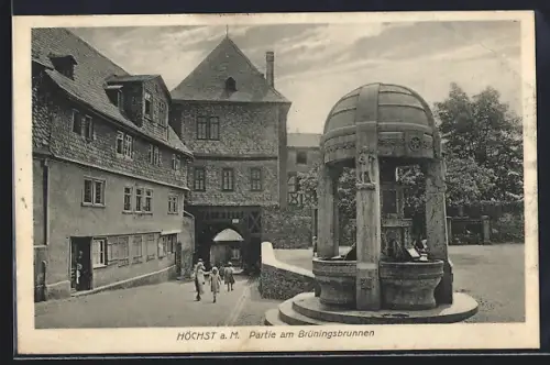 AK Frankfurt-Höchst, Partie am Brüningsbrunnen